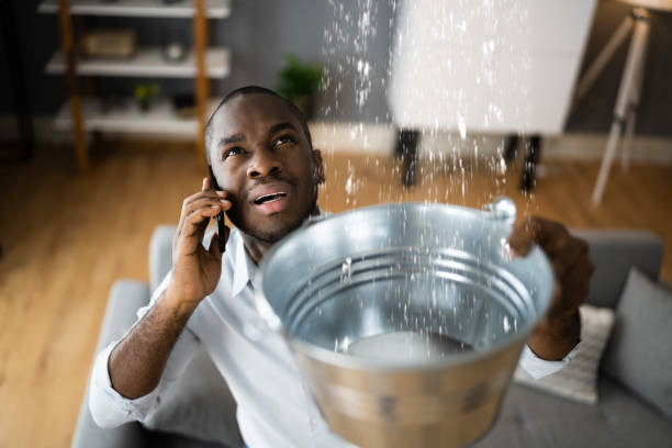 Best Emergency water extraction  in Erwinville, LA