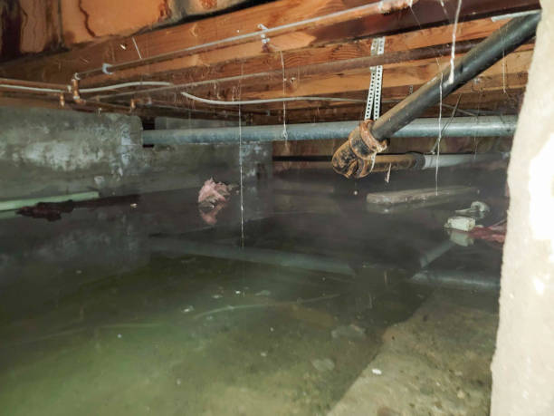 Best Residential water damage restoration  in Erwinville, LA
