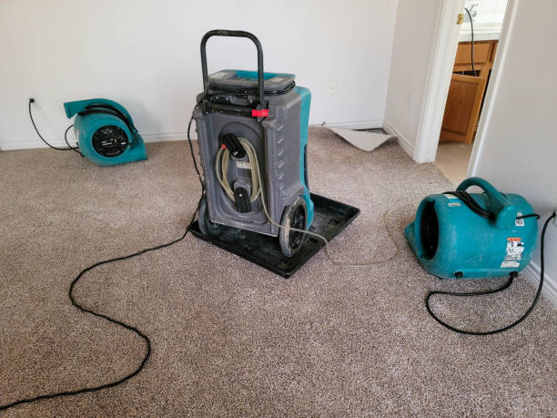 Reliable Erwinville, LA Water damage restoration Solutions