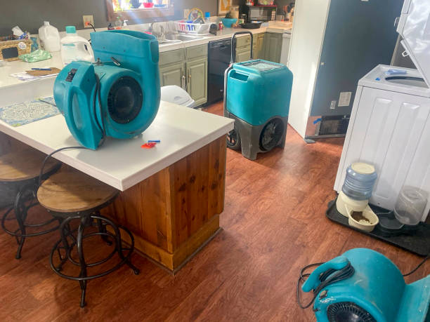 Water damage restoration mold remediation in Erwinville, LA