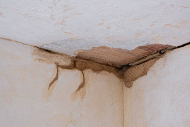 Best Ceiling water damage repair  in Erwinville, LA