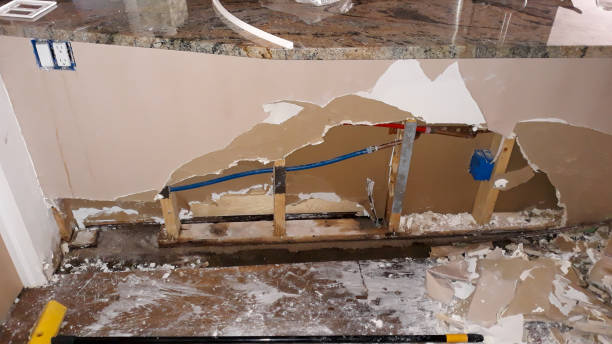 Best Water damage cleanup near me  in Erwinville, LA