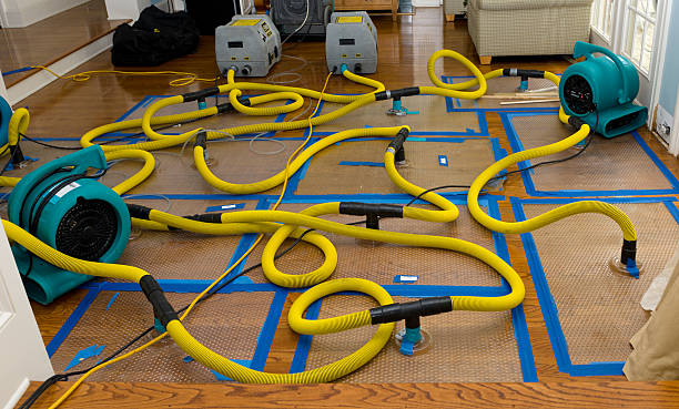 Water damage restoration process in Erwinville, LA