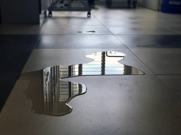 Best Carpet water damage restoration  in Erwinville, LA