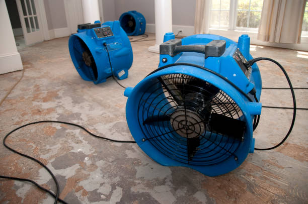 Best Mold removal after water damage  in Erwinville, LA