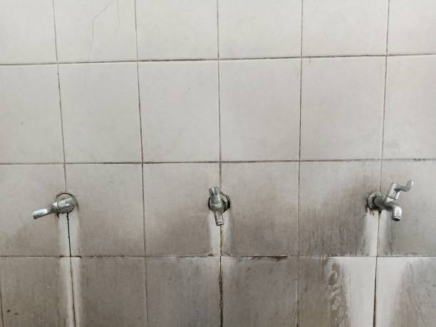 Best Sewage cleanup and water damage restoration  in Erwinville, LA