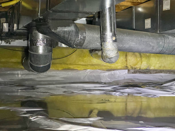 Best Flooded house restoration  in Erwinville, LA