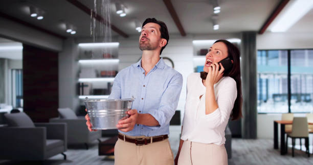 Best Water damage restoration company  in Erwinville, LA