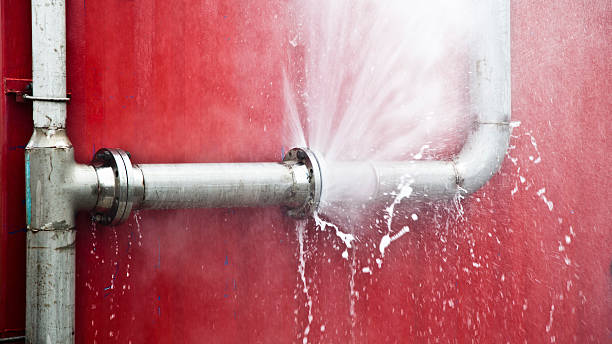Best Carpet water damage restoration  in Erwinville, LA