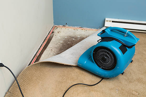  Erwinville, LA Water damage restoration Pros