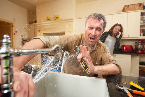 Best Professional water damage repair  in Erwinville, LA